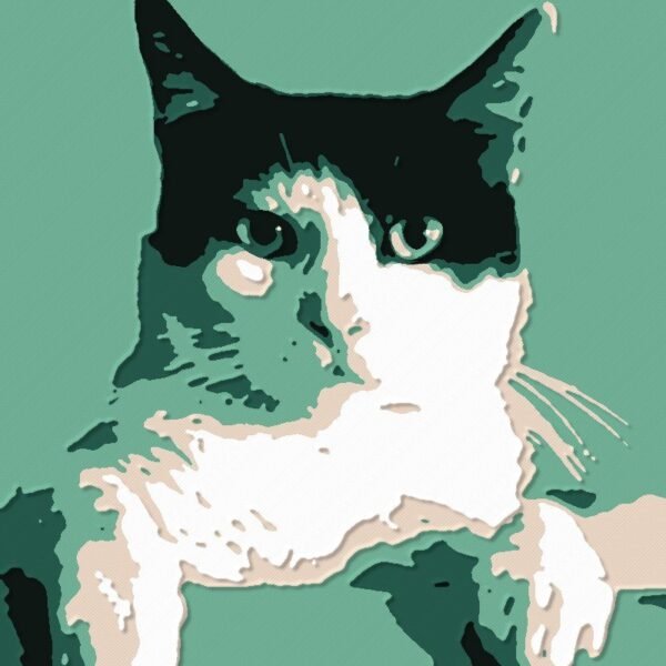 The same cat as a five-color layered print