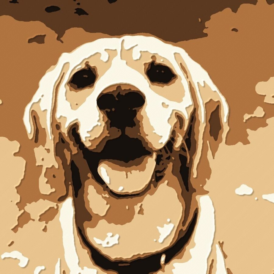 The same beagle as a five-color layered print